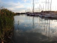 Číst dál: Jarní sraz Vefroklubu 2025 aneb setkání u Balatonu