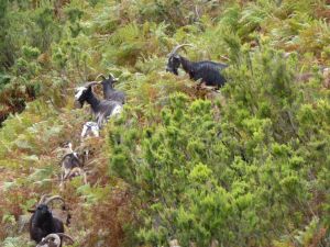 Korsika a Sardínie 2012