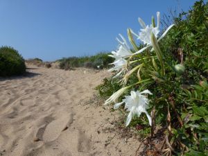 Korsika a Sardínie 2012