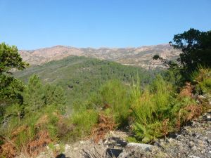 Korsika a Sardínie 2012