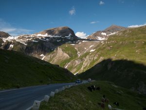 Glockner 2013