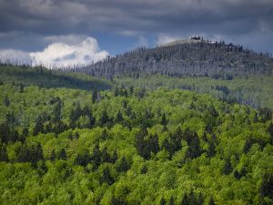 Šumava jaro 2012